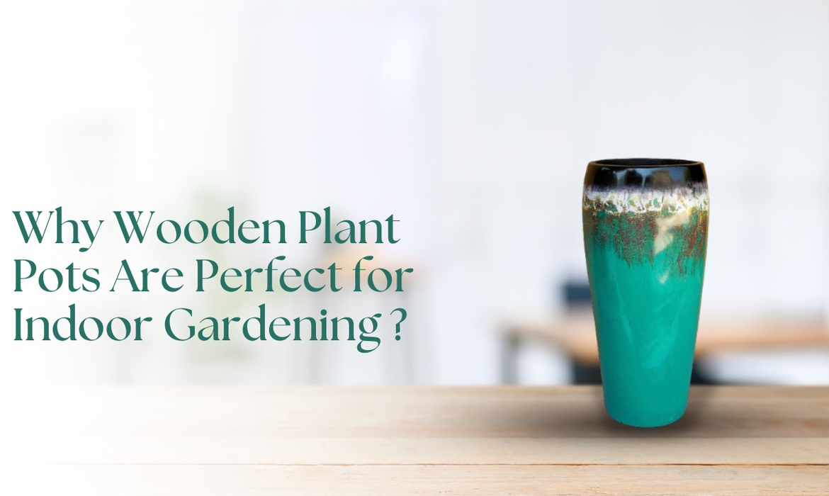 Why Wooden Plant Pots Are Perfect for Indoor Gardening