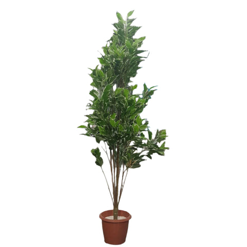 Artificial Plants - Bay Laurel