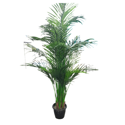 Artificial Plants - Chamaedorea Elegans