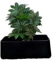 Black Rectangular Fibre Planter DRCT 01