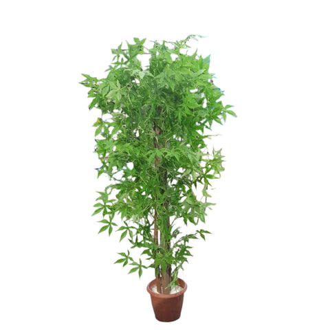 Artificial Plants - Green Cannabis