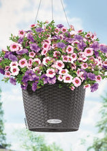 Lechuza Bacino Cottage Charcoal Self- Watering Planter