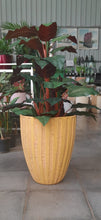 Artificial Philodendron Red