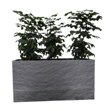 Dark Grey Rectangular Fibre Planter