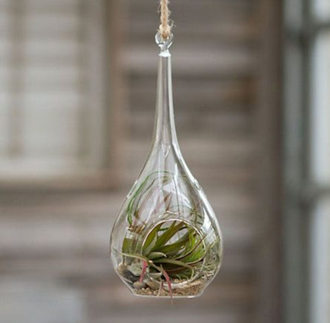 Tear Drop Terrarium Bowl